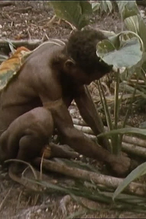 Un jardin à Iafar Poster