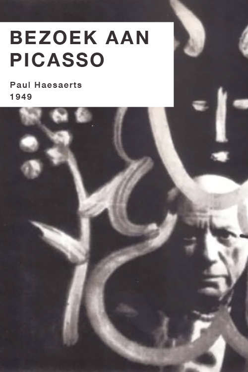 A Visit to Picasso Poster