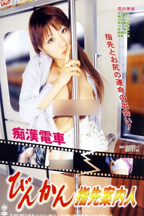 Groper Train: The Sensitive Fingertip Guide Poster