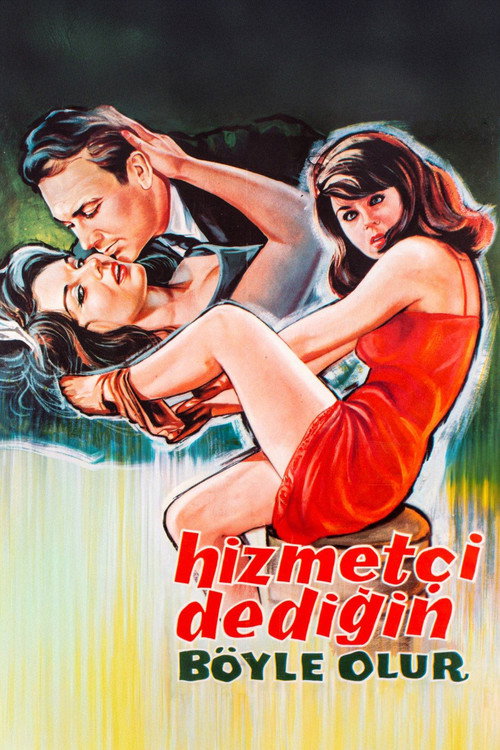 Hizmetçi Dediğin Böyle Olur Poster