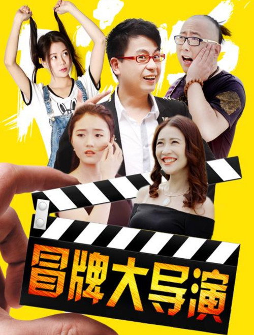 冒牌大导演 Poster
