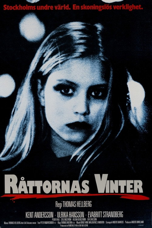 Rat Winter Poster
