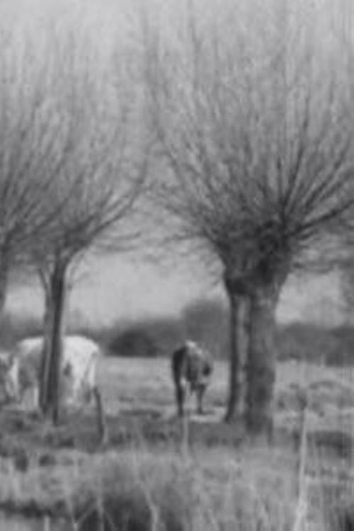 Father Thames Poster