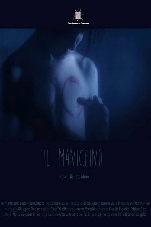The Mannequin Poster