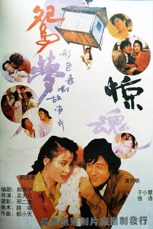 鸳梦惊魂 Poster