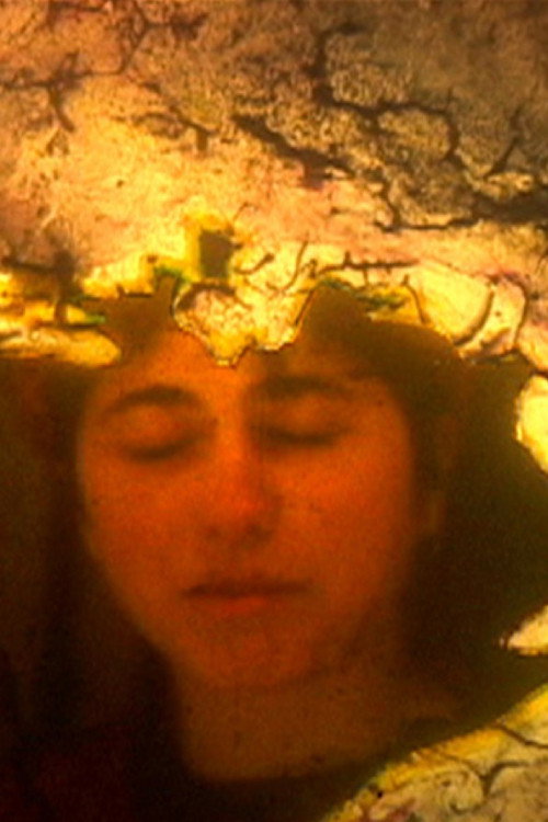 Self Portrait Post Mortem Poster