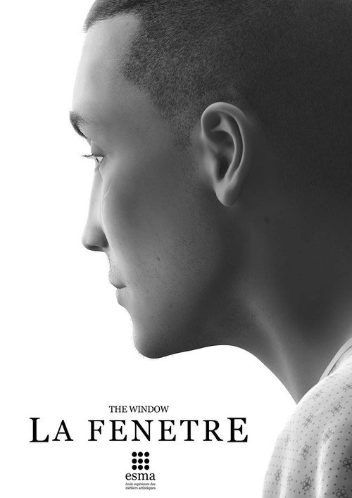 The Window Poster