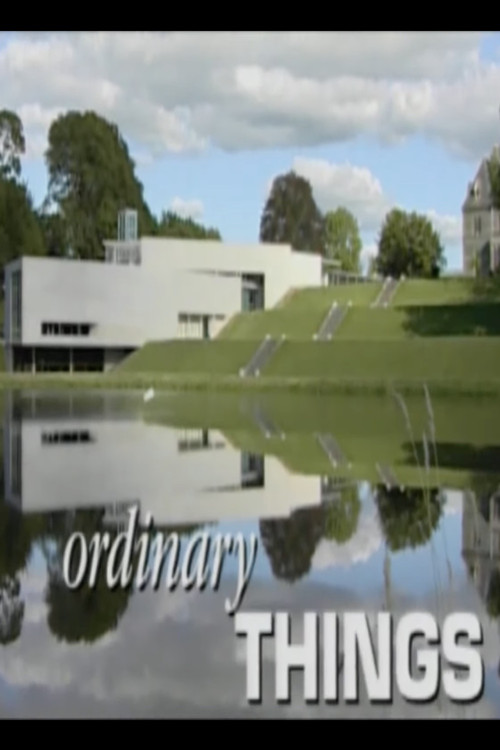 Ordinary Things Poster