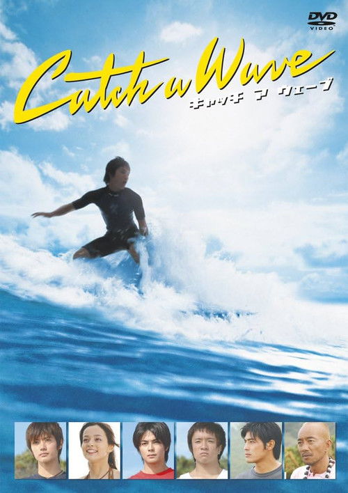 Catch a Wave Poster