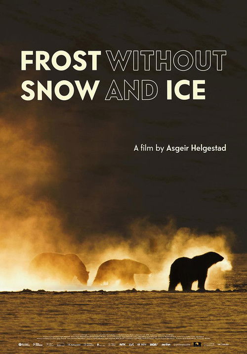 Frost Without Snow and Ice Poster