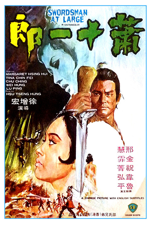 Swordsman at Large Poster
