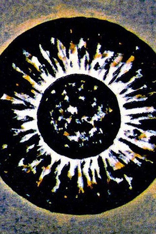 Metamorphose Works No.1 Poster