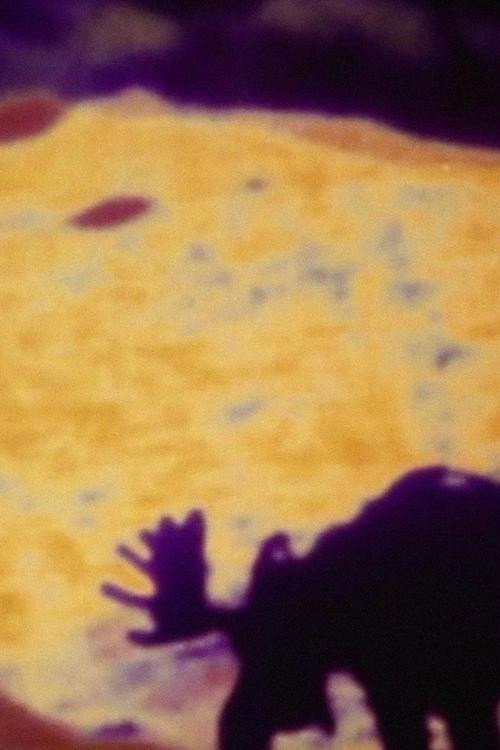 Moose Mountain Poster