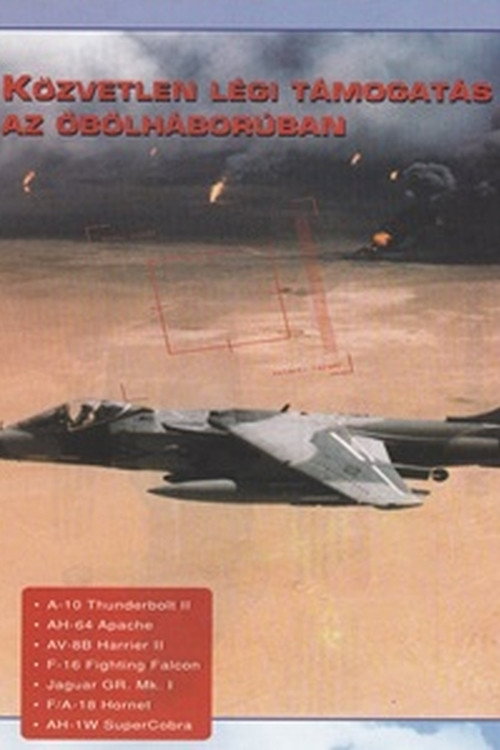 Combat in the Air - Close Air Support in the Gulf Poster