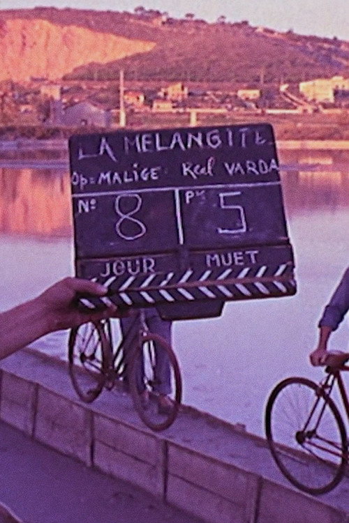 La Mélangite Poster