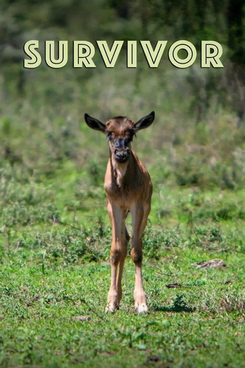 Survivor Poster