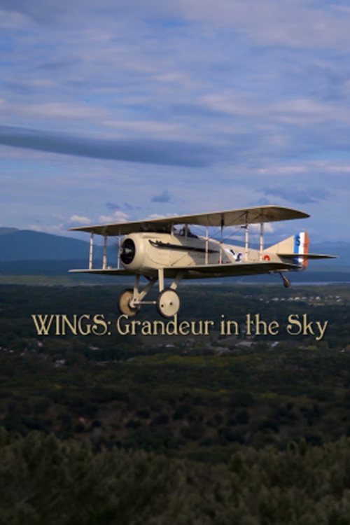 Wings: Grandeur in the Sky Poster
