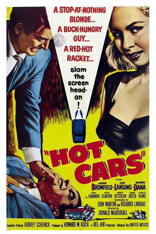 Hot Cars Poster