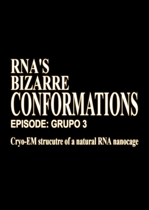 RNA'S Bizarre Conformations Poster