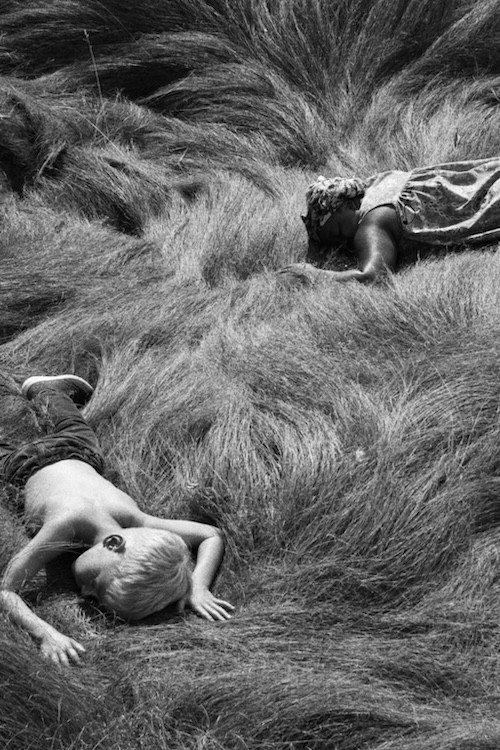 Tracking Satyrs Poster