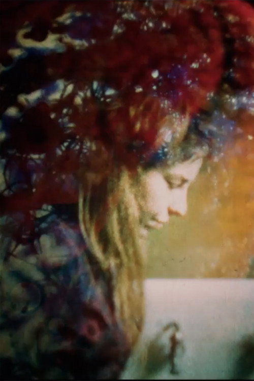 Sun Strobes Light Shows Nitobe Poster