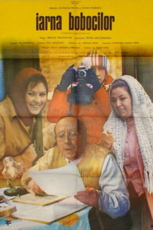 Iarna bobocilor Poster
