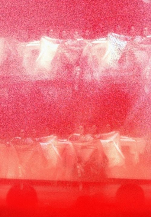 the revenant princess Poster