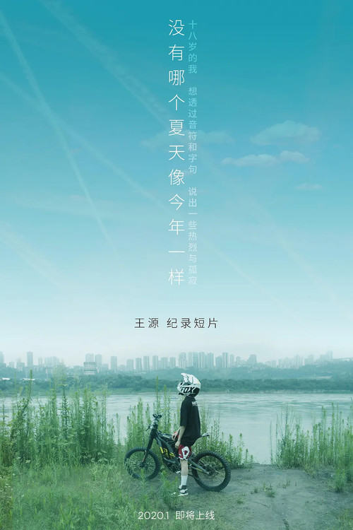 没有哪个夏天像今年一样 Poster
