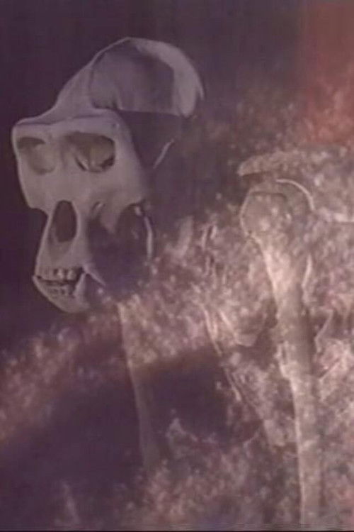 Esprits de Sel Poster