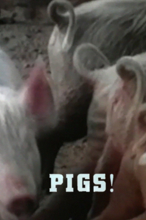 Pigs! Poster