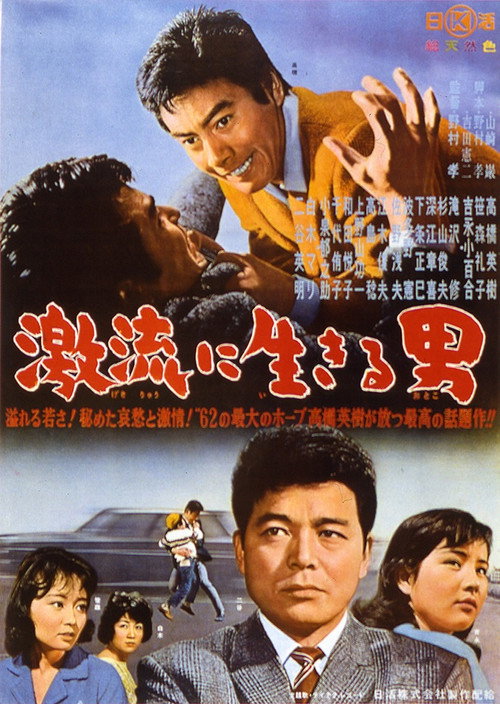 A Torrent of Life Poster