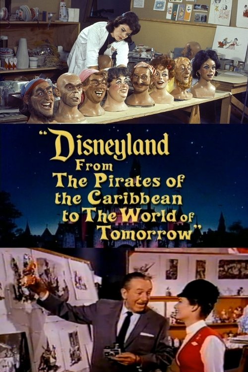 Disneyland: From the Pirates of the Caribbean to the World of Tomorrow Poster