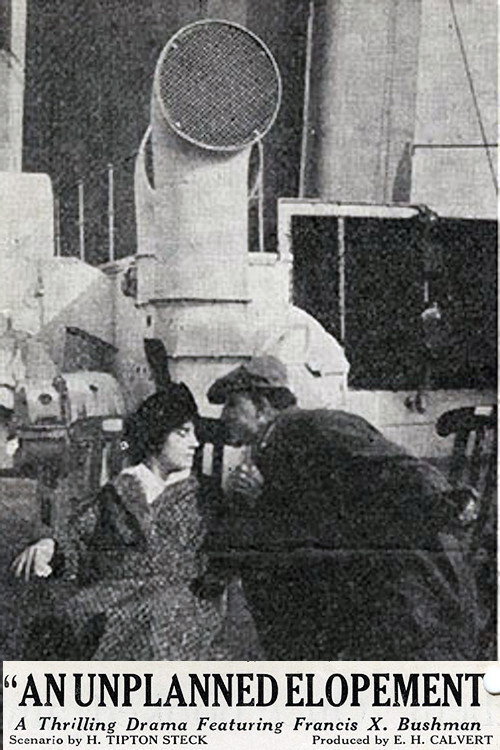 An Unplanned Elopement Poster