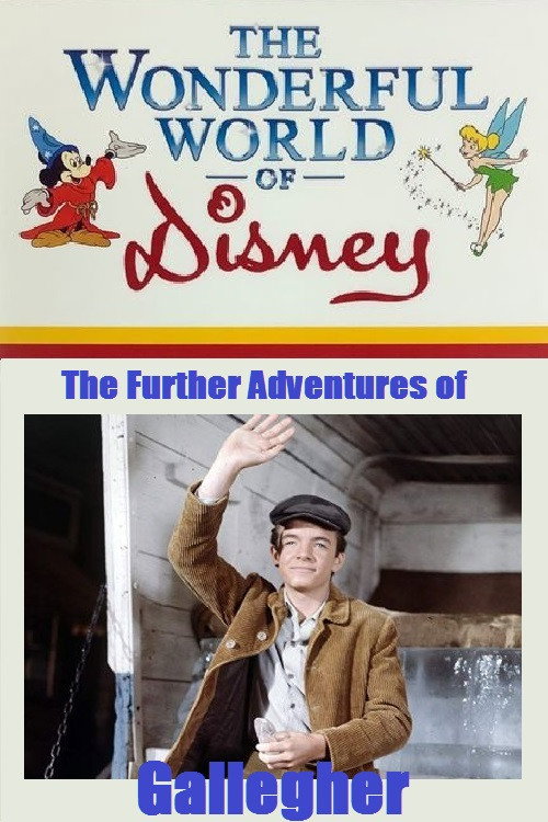 The Further Adventures of Gallegher Poster