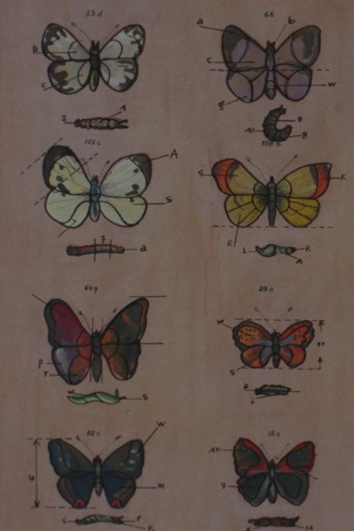 Lekcja anatomii Poster