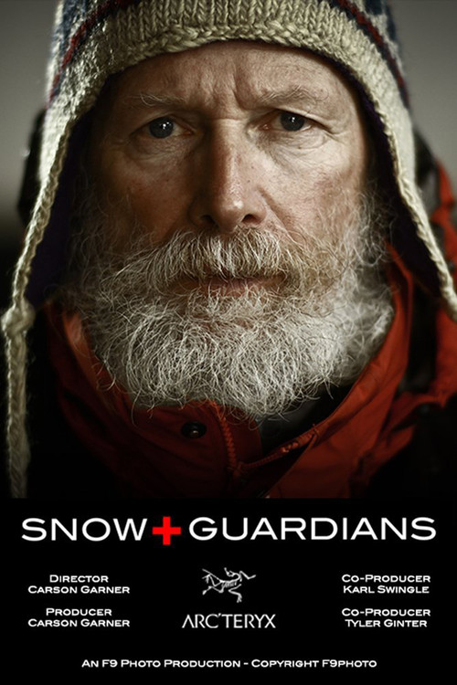 Snow Guardians Poster