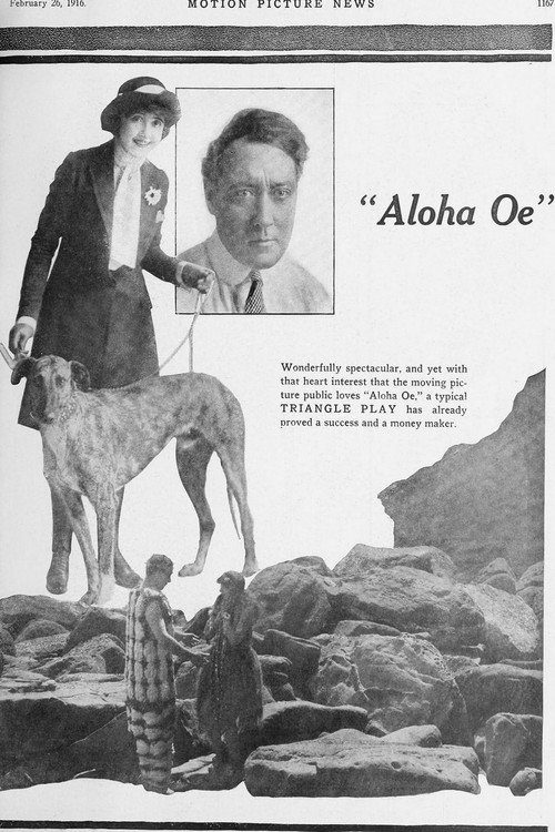 Aloha Oe Poster