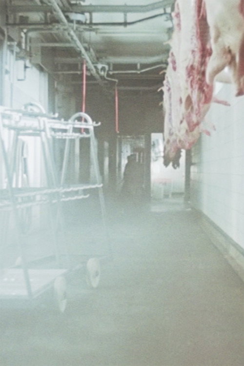 IX/75 Schlachthof Poster