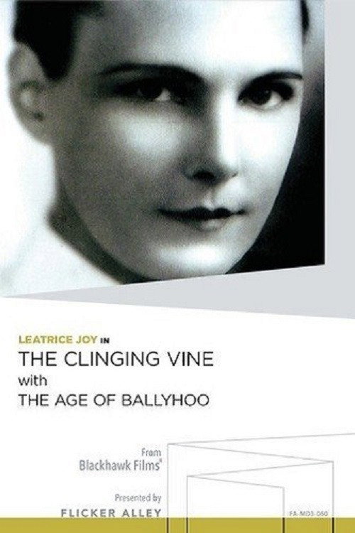 The Age of Ballyhoo Poster