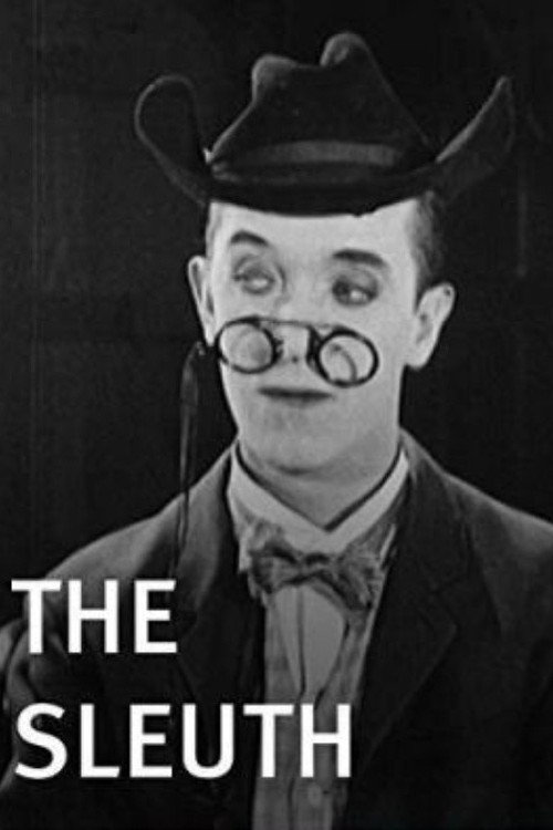 The Sleuth Poster