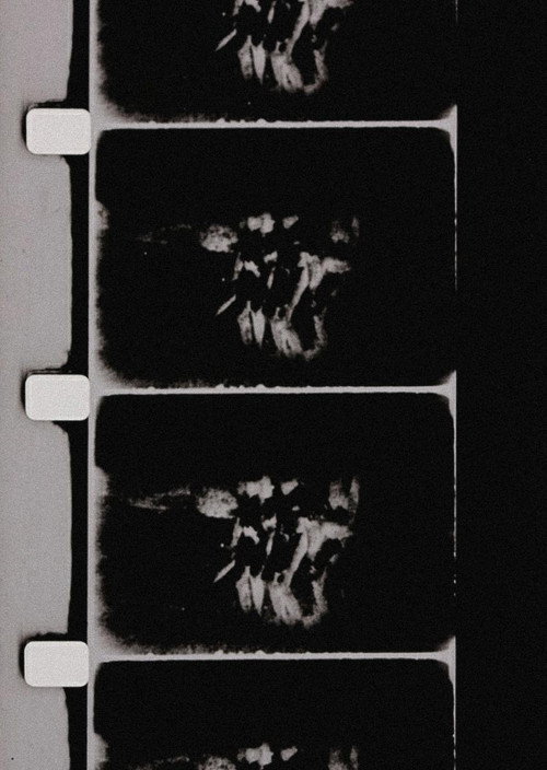 Studies in Image (de) Generation Poster