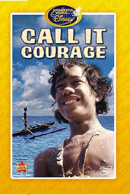 Call It Courage Poster