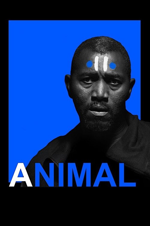 Animal Poster
