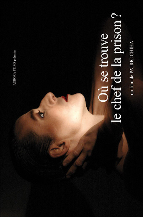 Where Is the Head of the Prison? Poster