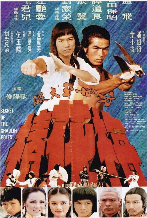 Secret of the Shaolin Poles Poster