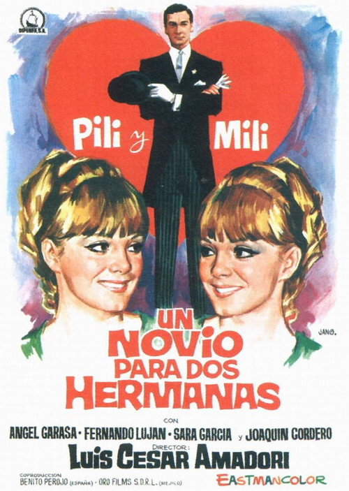 Un novio para dos hermanas Poster
