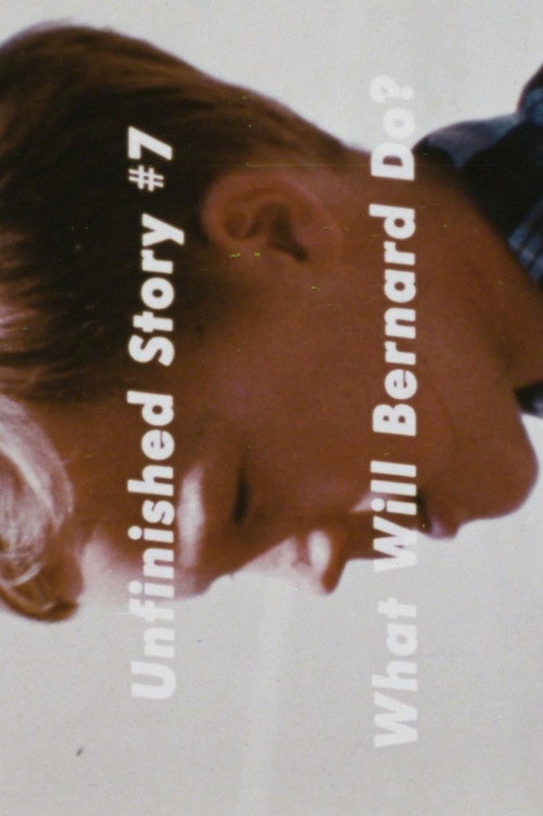 Unfinished Stories: What Will Bernard Do? Poster