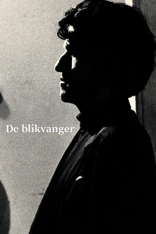 De blikvanger Poster