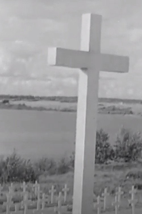 Anu Parikka och de andra Poster