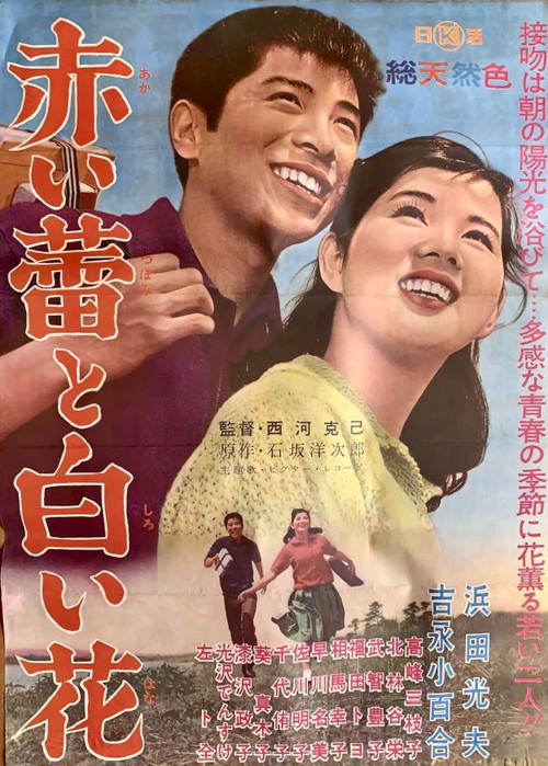 Red Bud and White Flower Poster